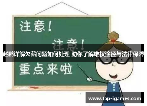 赵鹏详解欠薪问题如何处理 助你了解维权途径与法律保障 赵鹏详解欠薪问题如何处理 助你了解维权途径与法律保障